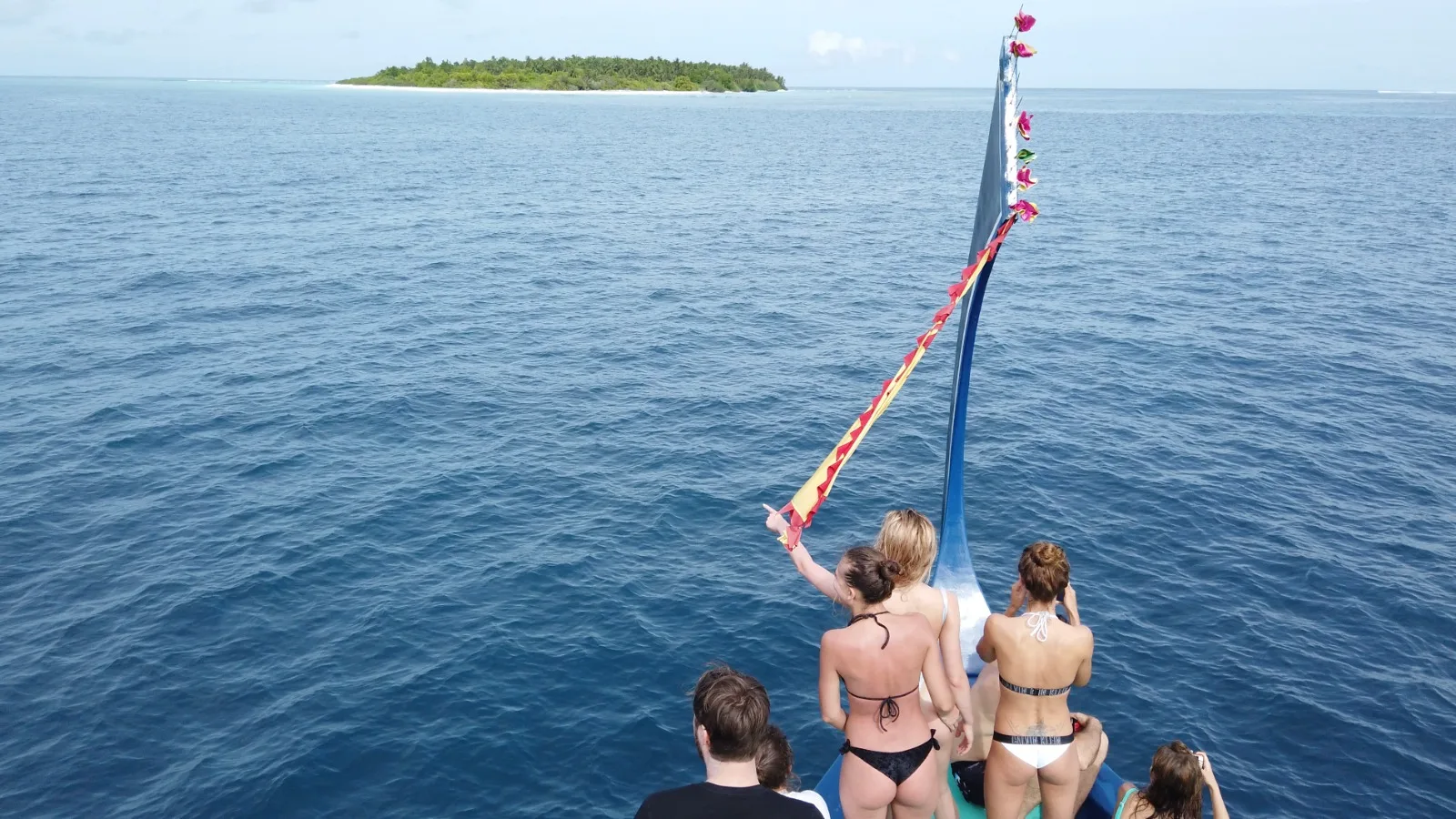 Day Six — Island, reef, dolphins