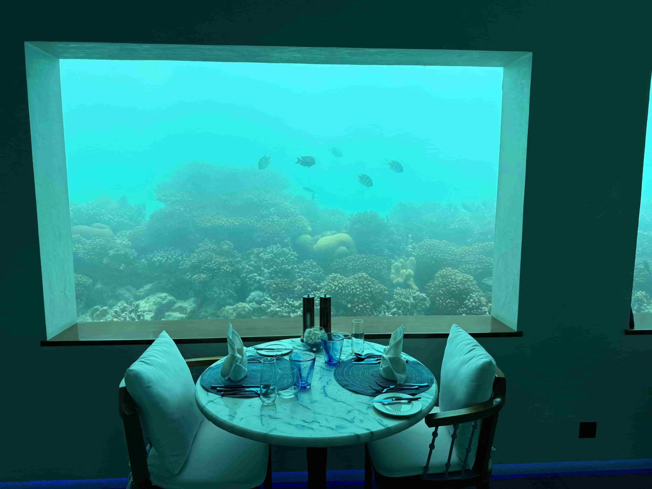 Maldives Underwater Experience with Atoll Villa | Maldives Luxury Yacht Charter — Atoll Villa, Maldives