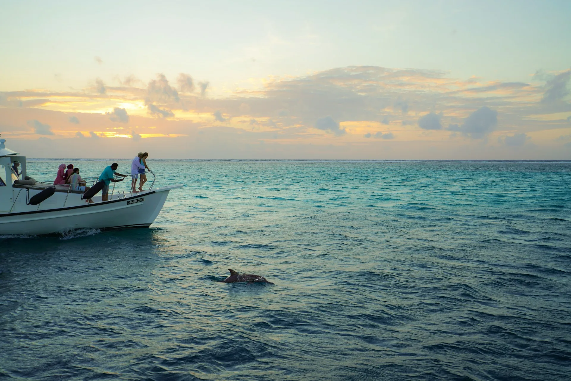 Dolphin Cruise Maldives: Private Yacht Vs Resort Excursions — Atoll Villa, Maldives